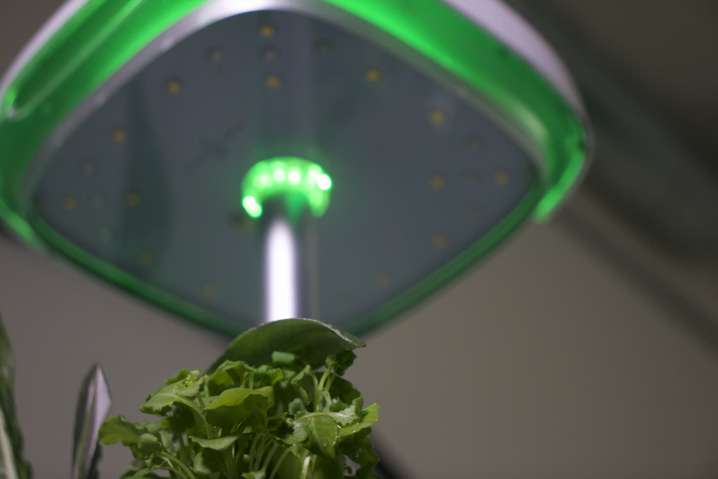 Looking up into the light head &mdash; the LED array behind a green-lit rim, a rocket leaf just below.