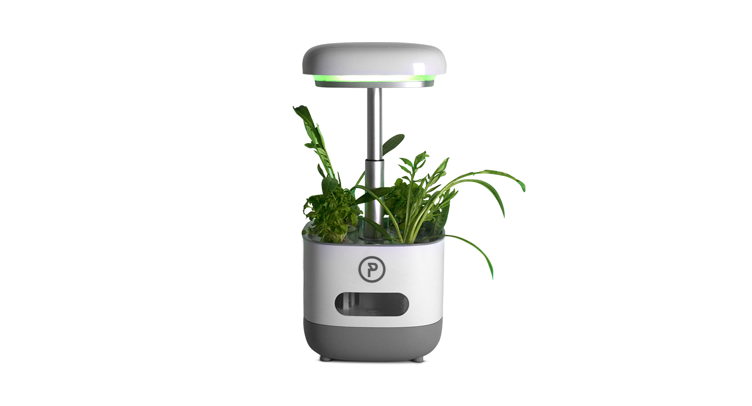 The PonicTank drawn whole: the light head with its green rim, the height-adjusting shaft below it, the planted deck, the water-level window and the base.