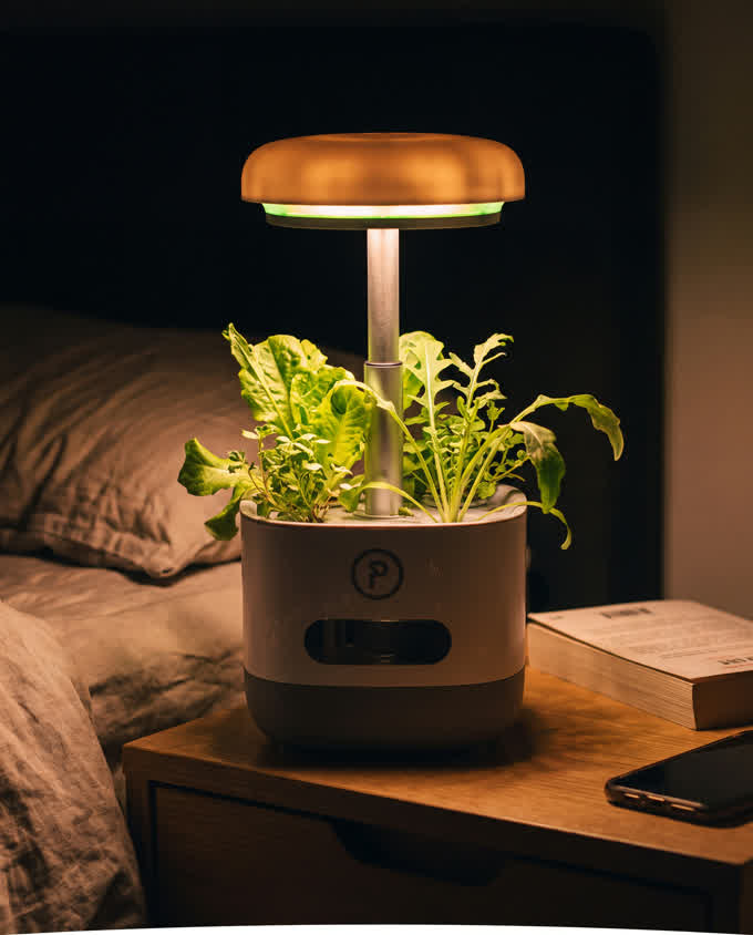 A PonicTank on a bedside table in a near-black bedroom, its dome glowing warm amber over crumpled linen and a face-down paperback.