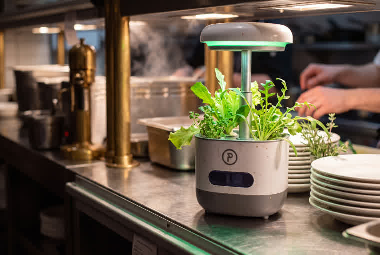The unit on the stainless pass of a small restaurant kitchen, brass and steel behind it, steam drifting through the frame beside a stack of white plates.