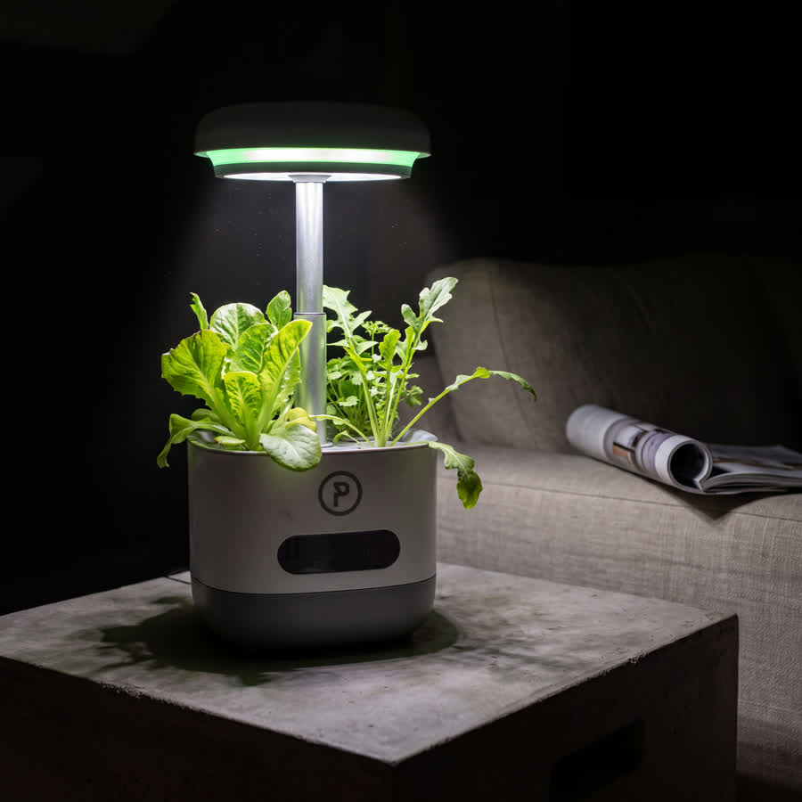 The unit on a concrete plinth in a dark loft, its lamp throwing a hard circle of light over the greens and a long shadow across the floor.